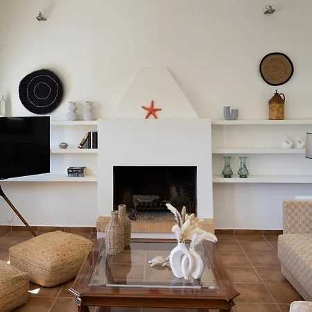 Maria Syros Apartment Posidhonía